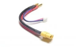 EP Anschlusskabel 4 Mm Goldstecker Zu XT60 - Kabel ⋅ Stecker